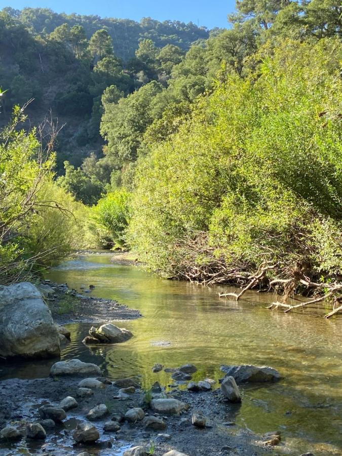 La Casita Del Fresnillo Βίλα Benalauría Εξωτερικό φωτογραφία